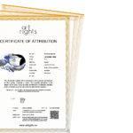 CERTIFICATO